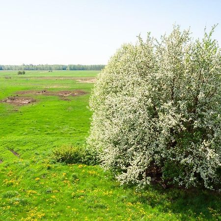 White Camomile Condo Šventoji Extérieur photo